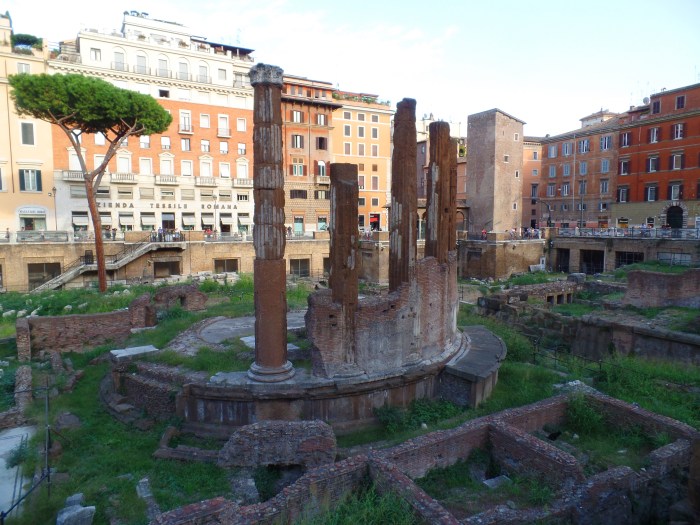 SAMSUNG CAMERA PICTURES